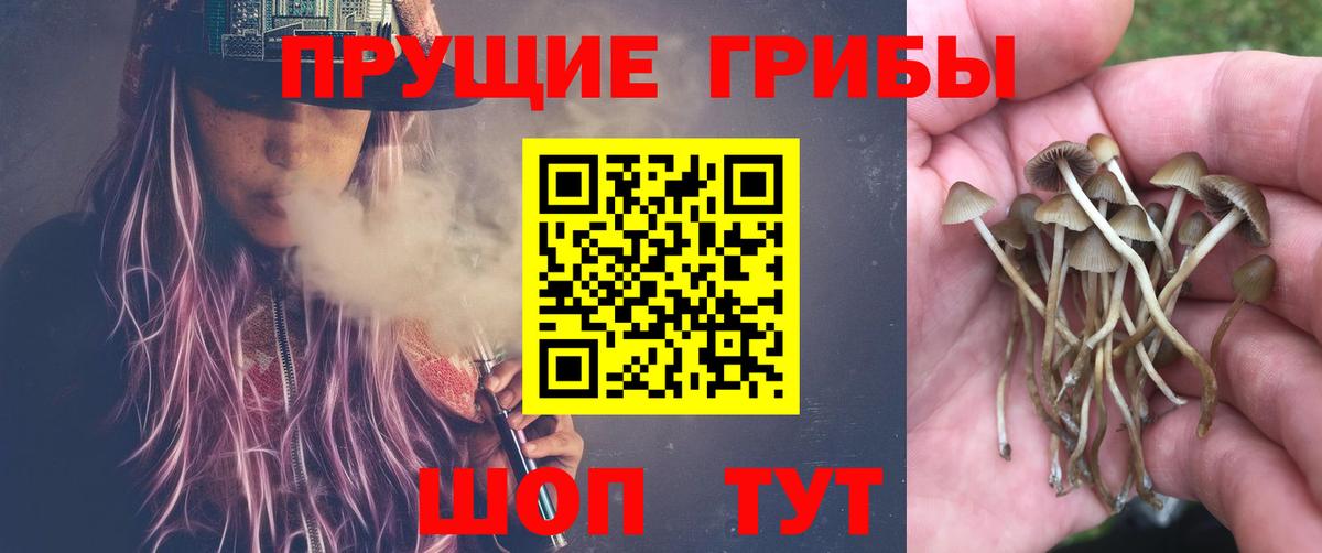 Псилоцибиновые грибы MAGIC MUSHROOMS  Вход с VPN  Саки 
